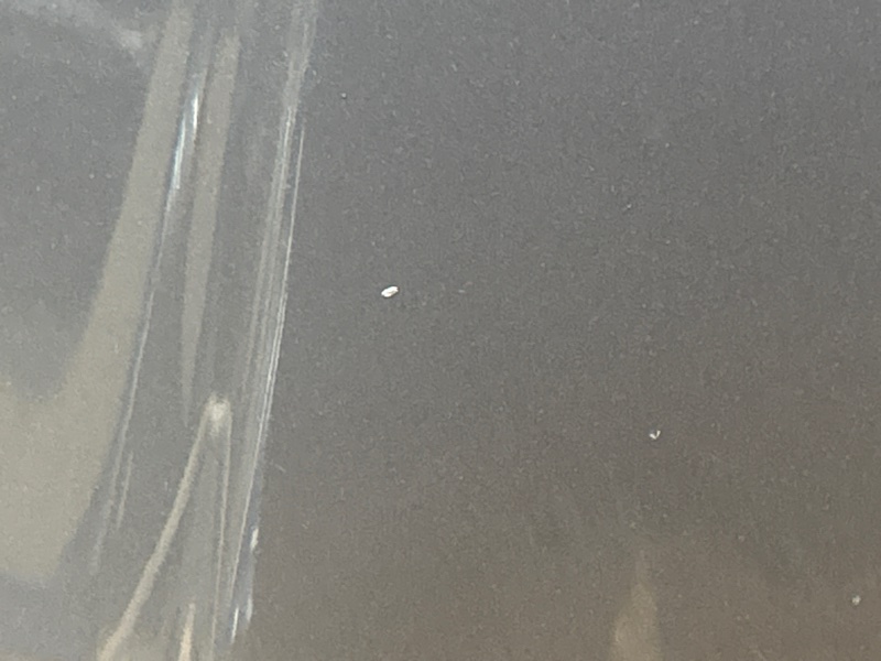 капот, 7000 рублей, Красноярск