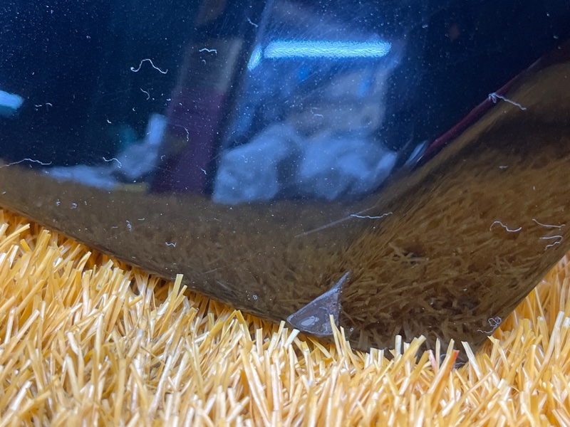 крыло, 9000 рублей, Красноярск