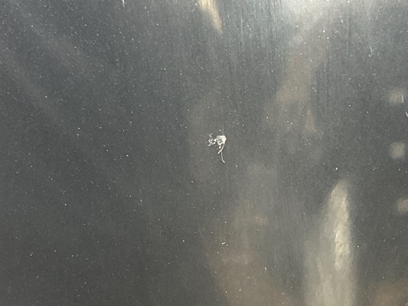 капот, 32000 рублей, Красноярск