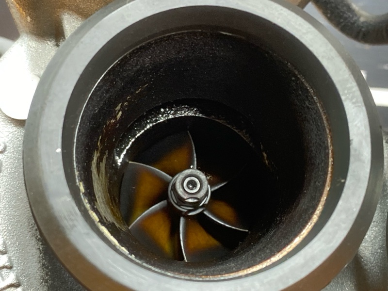 Турбина, 25000 рублей, Красноярск