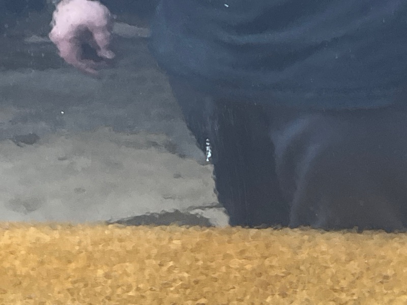 дверь, 12000 рублей, Красноярск