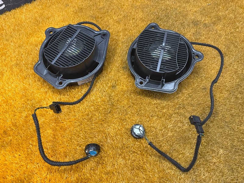 Динамик, 2000 рублей, Красноярск