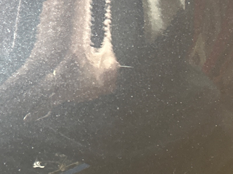 Крышка (дверь) багажника, 25000 рублей, Красноярск