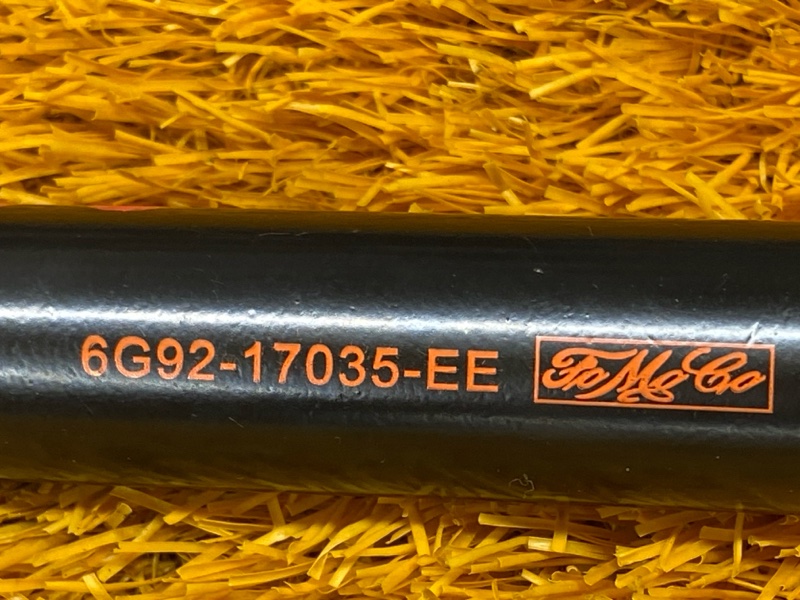 Балонник, 1000 рублей, Красноярск