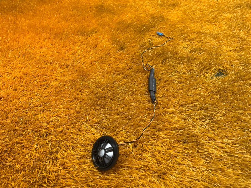 Динамик, 2000 рублей, Красноярск