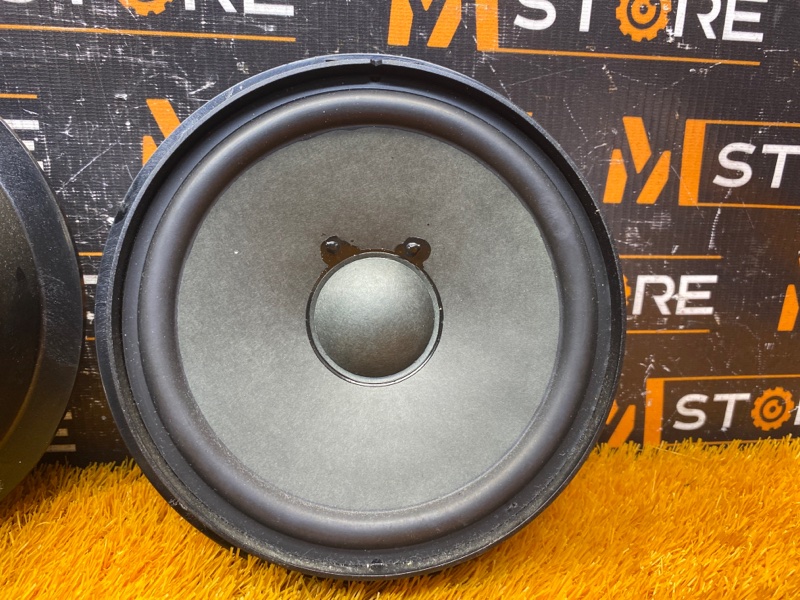 Динамик, 1000 рублей, Красноярск