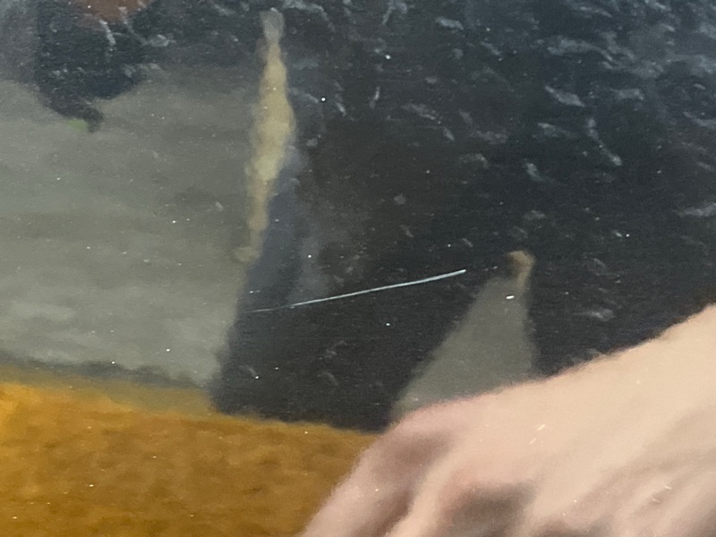 дверь, 15000 рублей, Красноярск