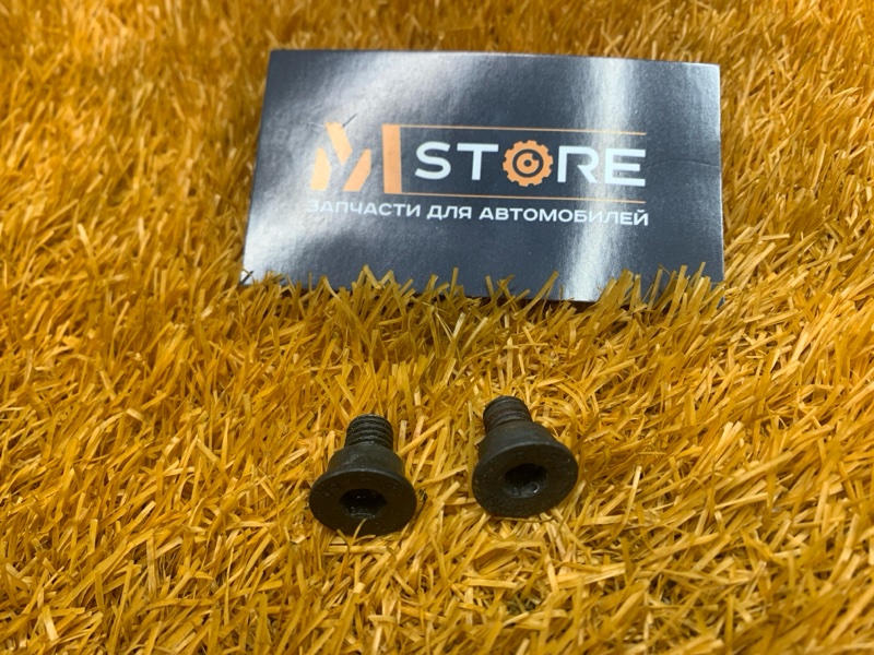 Болт тормозного диска, 100 рублей, Красноярск