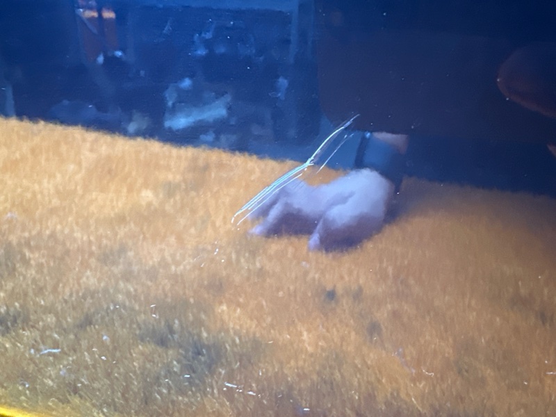 дверь, 7000 рублей, Красноярск