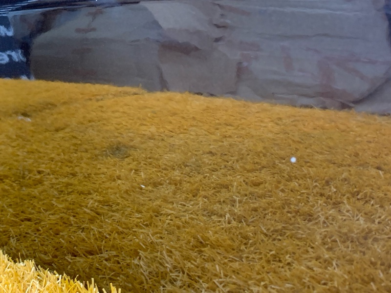 дверь, 38000 рублей, Красноярск