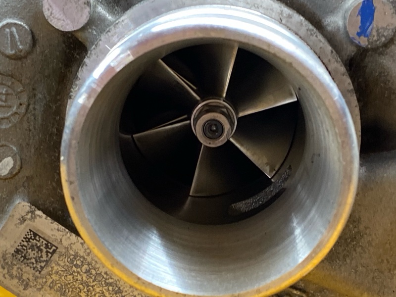 Турбина, 32000 рублей, Красноярск