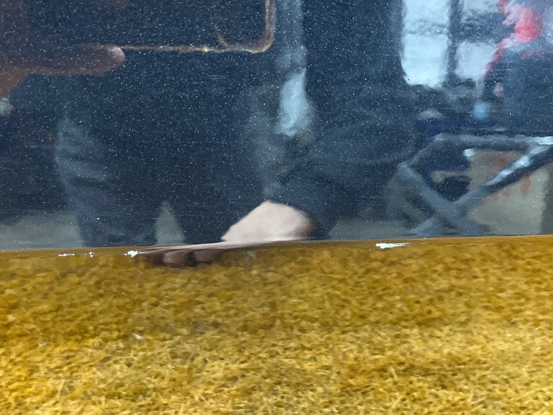 дверь, 16000 рублей, Красноярск