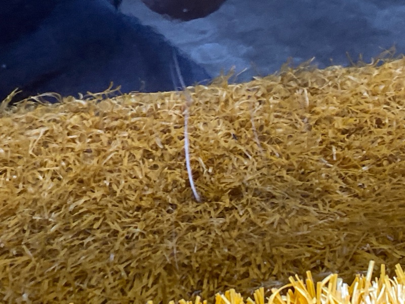 Крышка (дверь) багажника, 20000 рублей, Красноярск