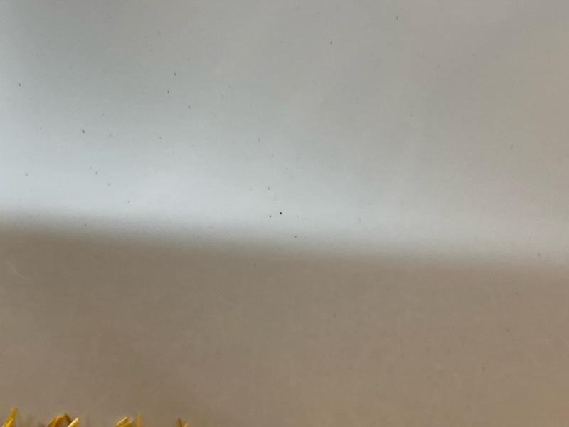 Крышка (дверь) багажника, 18000 рублей, Красноярск