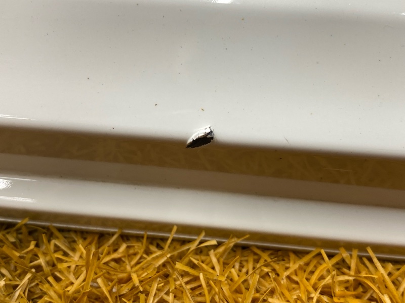 накладка на порог, 2000 рублей, Красноярск