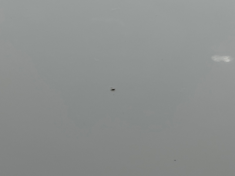 дверь, 27000 рублей, Красноярск