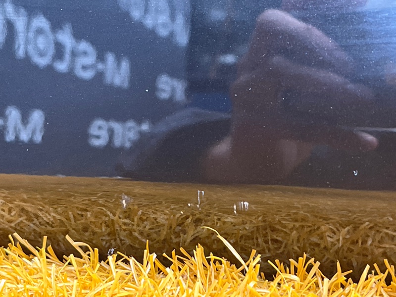 дверь, 13000 рублей, Красноярск