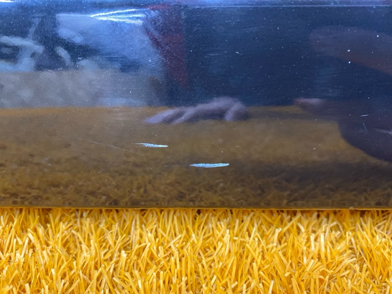 накладка на порог, 1500 рублей, Красноярск