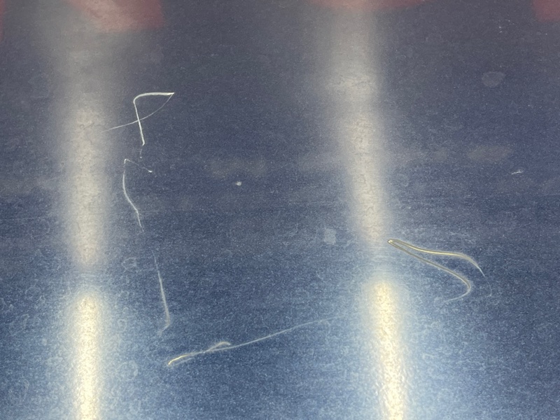 крышка багажника, 3500 рублей, Красноярск