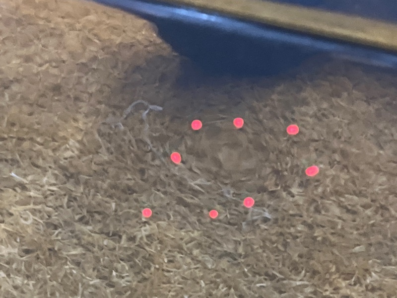 дверь, 5000 рублей, Красноярск