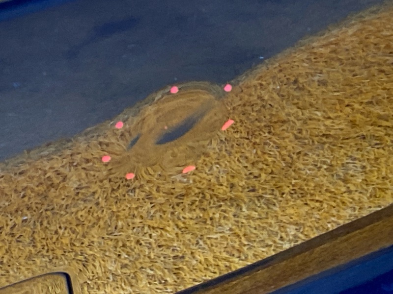 бампер, 6500 рублей, Красноярск