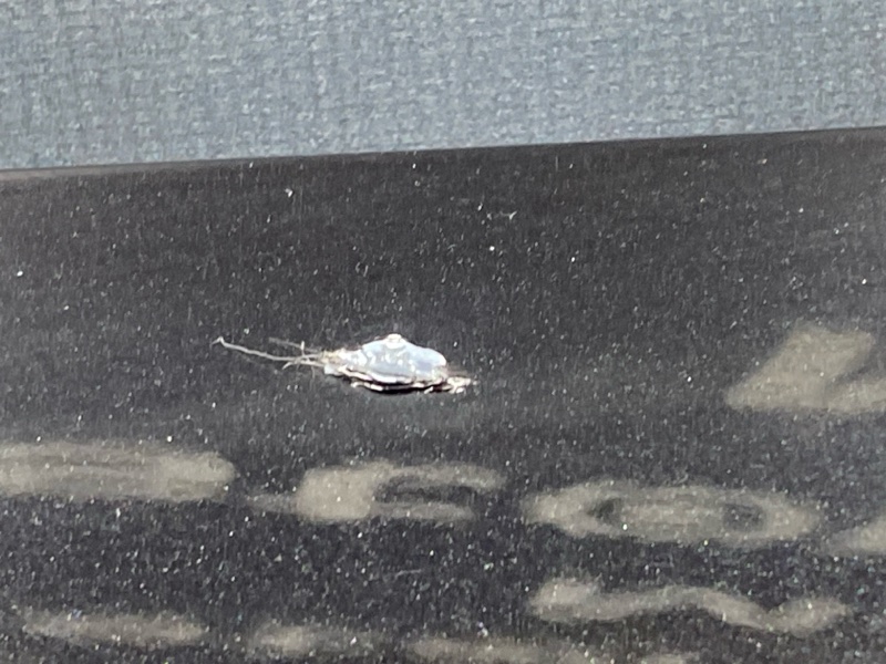 Крышка (дверь) багажника, 20000 рублей, Красноярск