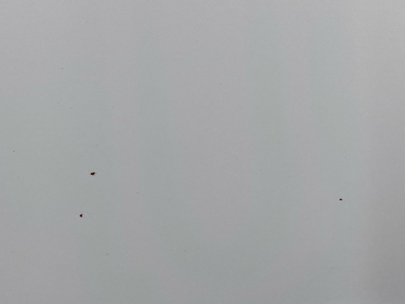 крышка багажника, 10000 рублей, Красноярск