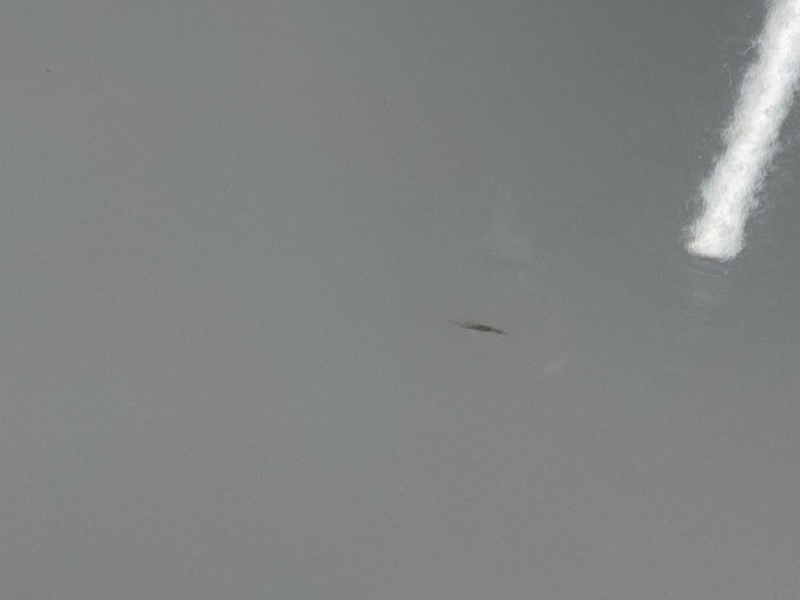 крыло, 7000 рублей, Красноярск