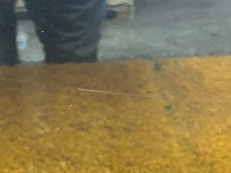 дверь, 10000 рублей, Красноярск