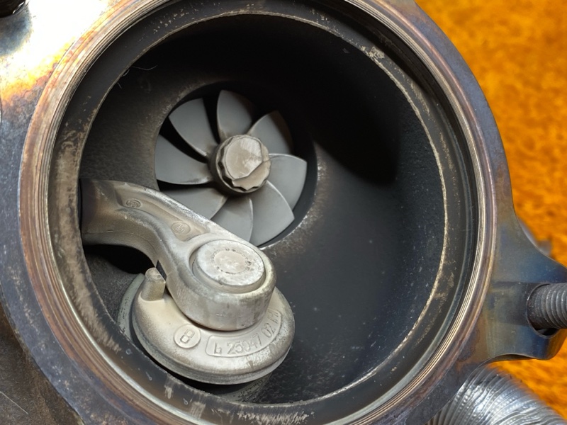 Турбина, 48000 рублей, Красноярск