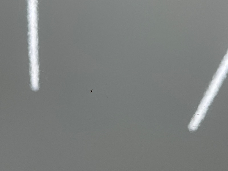 капот, 15000 рублей, Красноярск