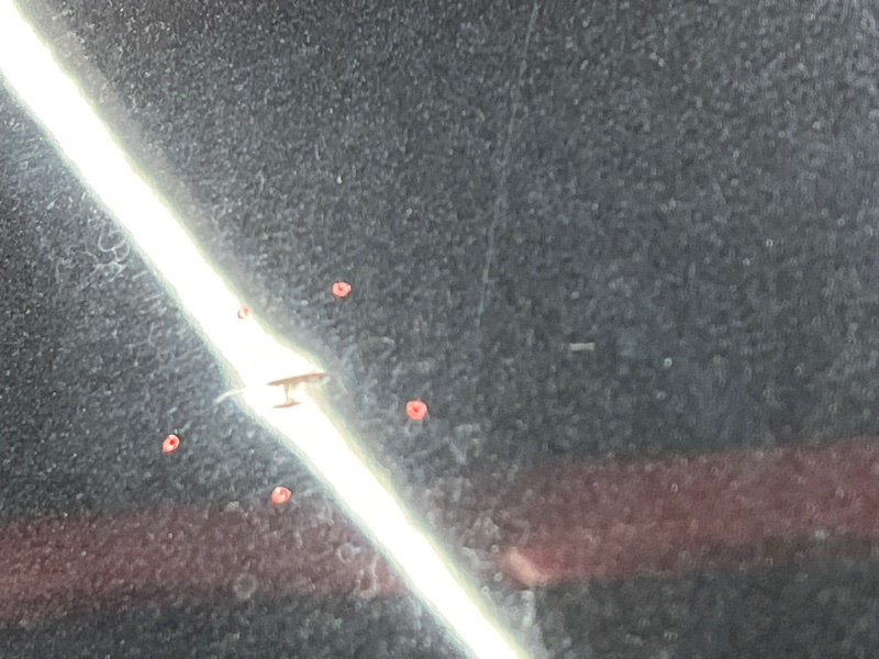 капот, 52000 рублей, Красноярск