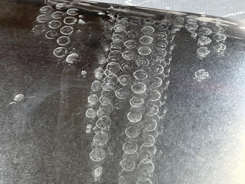 капот, 23500 рублей, Красноярск