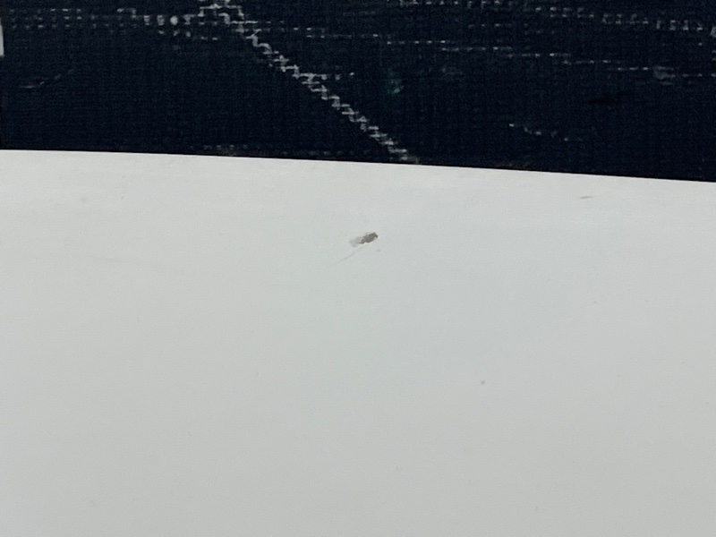 капот, 14000 рублей, Красноярск