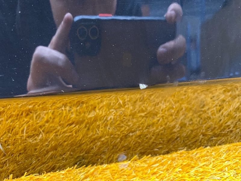 дверь, 9000 рублей, Красноярск