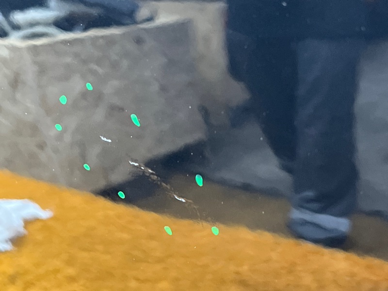 дверь, 15000 рублей, Красноярск