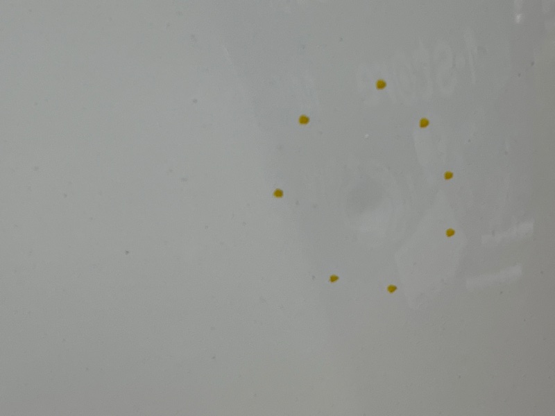 капот, 4000 рублей, Красноярск