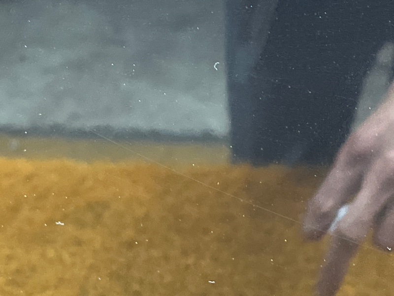 капот, 65000 рублей, Красноярск