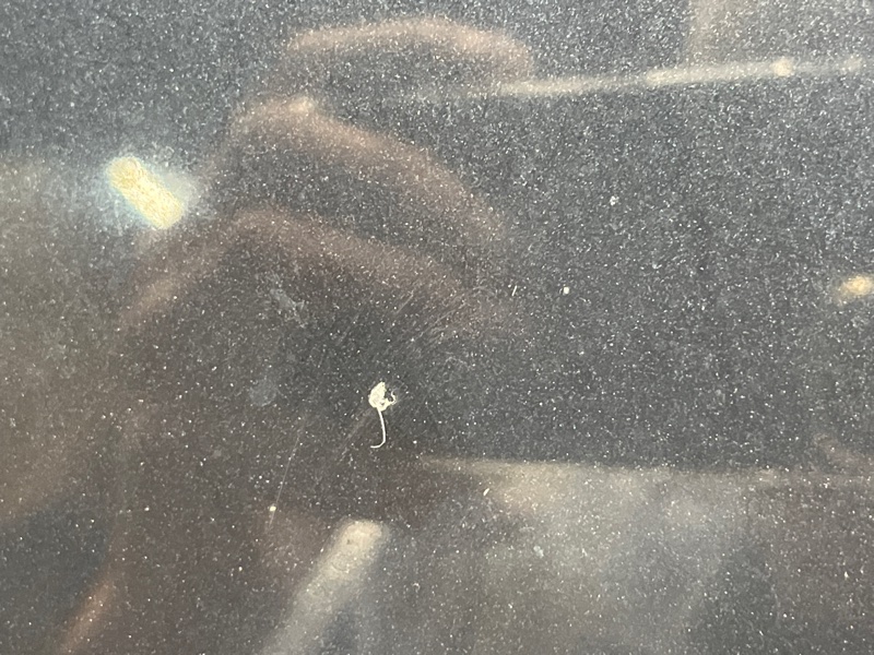 капот, 40000 рублей, Красноярск