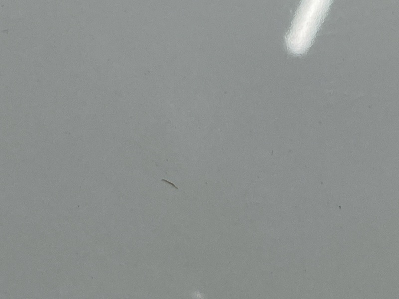 капот, 70000 рублей, Красноярск