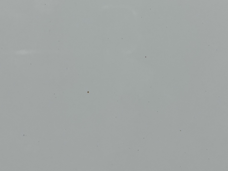 капот, 13000 рублей, Красноярск