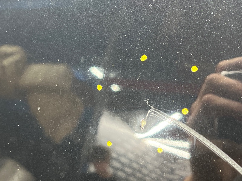 капот, 20000 рублей, Красноярск