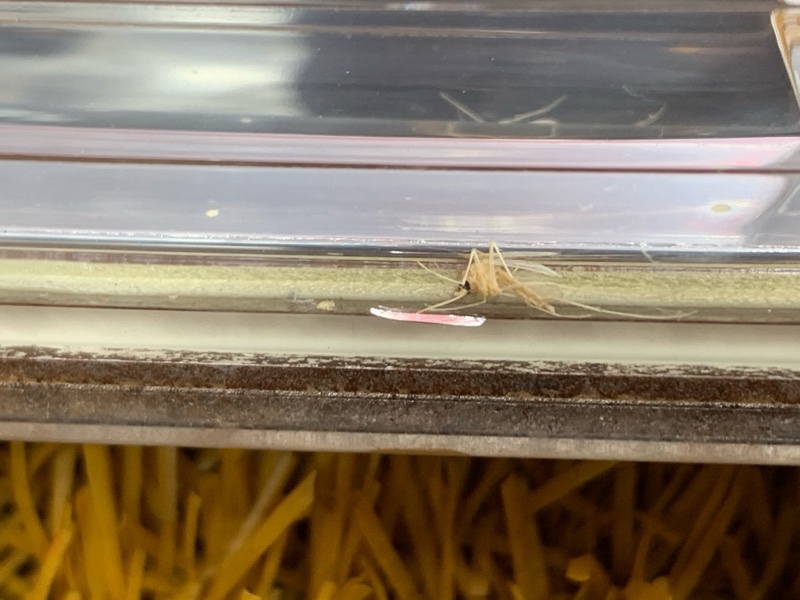 Фонарь задний, 1500 рублей, Красноярск