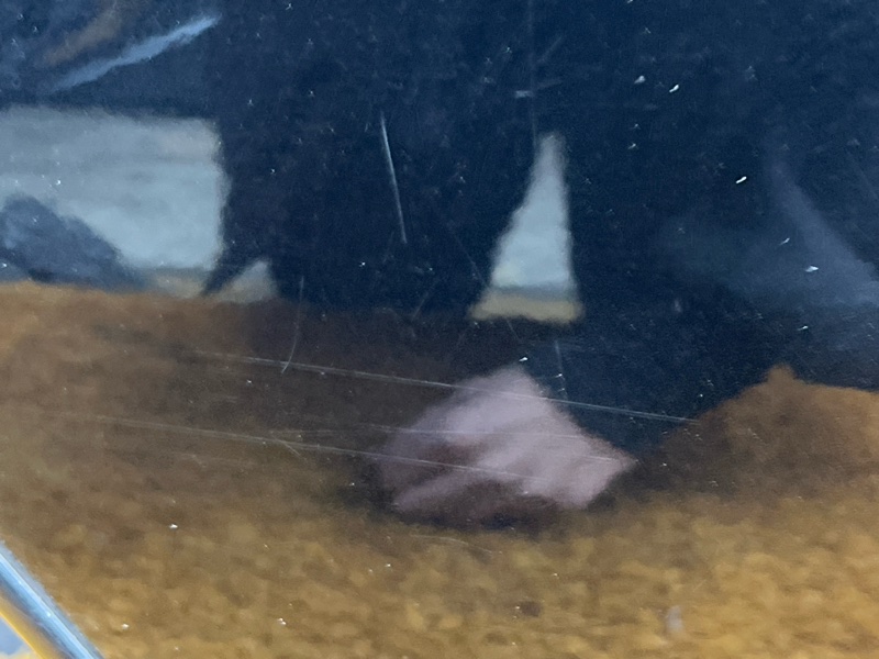 дверь, 16000 рублей, Красноярск