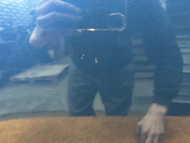 дверь, 9000 рублей, Красноярск