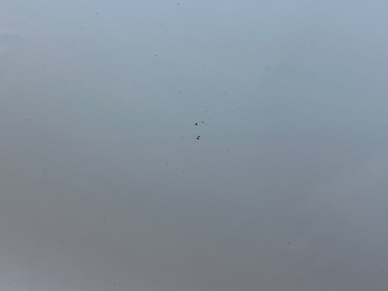 дверь, 5000 рублей, Красноярск