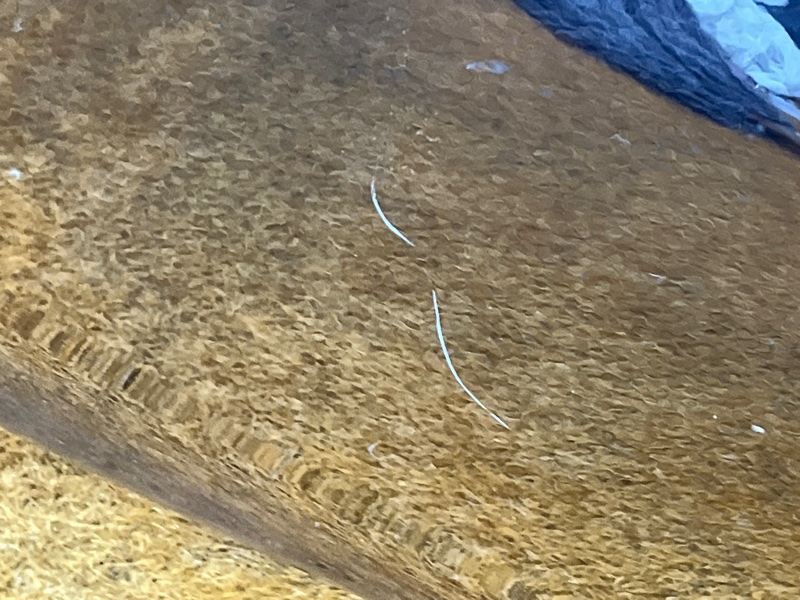 бампер, 25000 рублей, Красноярск