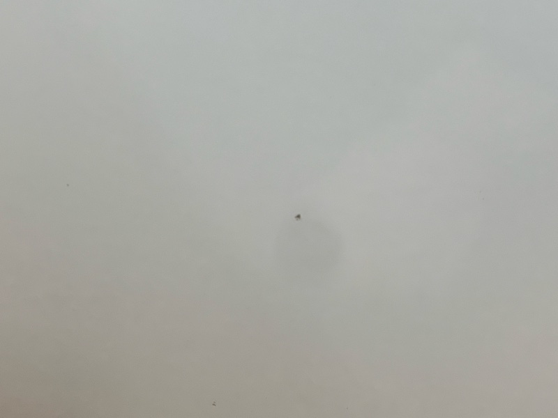 дверь, 25000 рублей, Красноярск