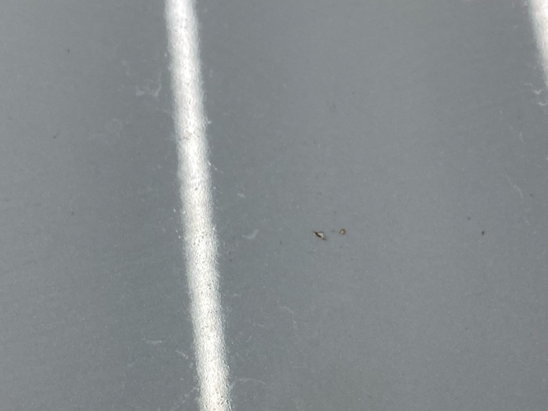 капот, 20000 рублей, Красноярск