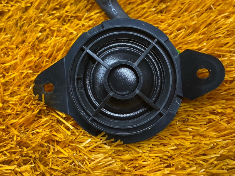 Динамик, 1000 рублей, Красноярск